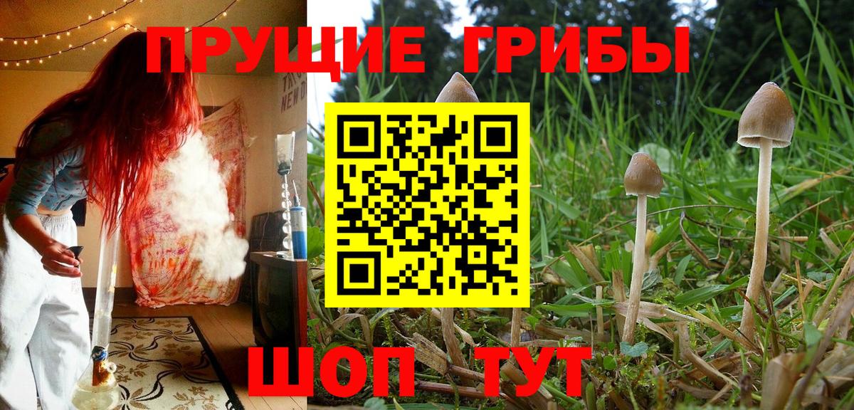 Галлюциногенные грибы GOLDEN TEACHER Алексин