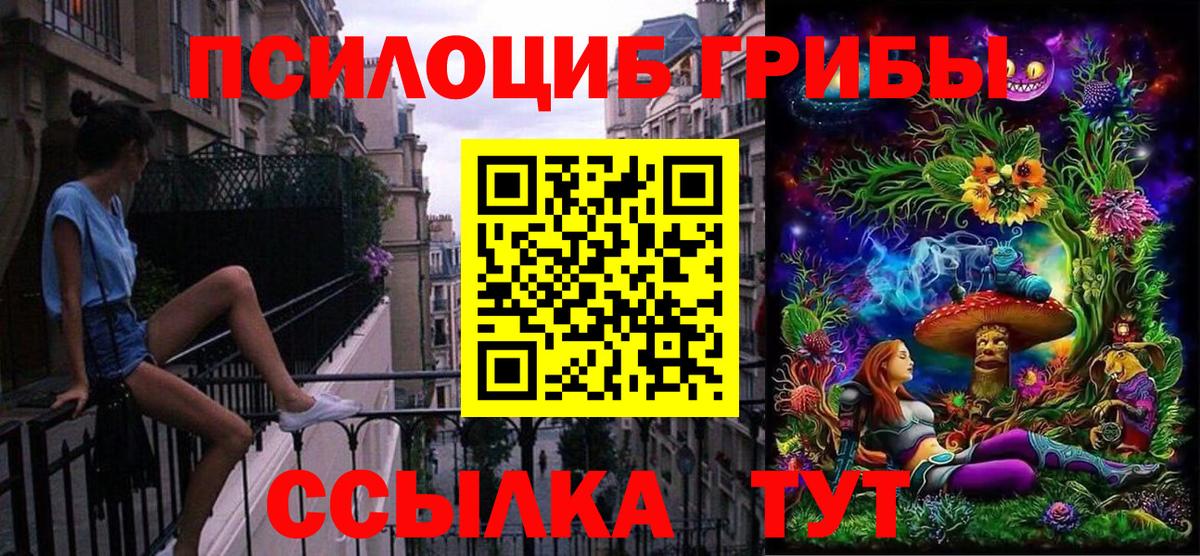 Псилоцибиновые грибы Psilocybe  Вход с VPN  Алексин  что такое наркотик  Псилоцибиновые грибы мухоморы 